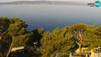 Brela - Bluesun hotel Soline - Panorama