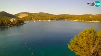 Hvaras - Vira