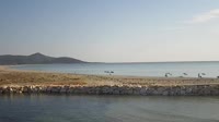 Sardegna - Posada - spiaggia