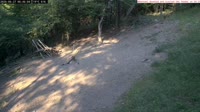 Veszprém - Karmniki i budki dla ptaków