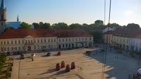 Rynek