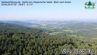 Maibrunn - Waldwipfelweg - Foresta Bavarese