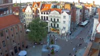 Miniatura