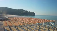 Vignette