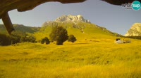 Vignette
