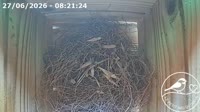 Roncourt - Casa para pájaros