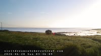 Laukvik