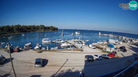 Savudrija - Marina