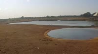 Voi - Tsavo East National Park