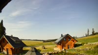Oberharz am Brocken - Tanne