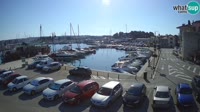 Novigrad - Porporela Marina