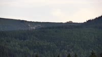 Miniatiūra