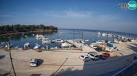 Savudrija - Marina