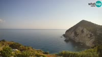 Ponza - Cala Cecata