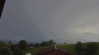 Root - Vista panorámica