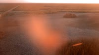 Parque nacional y natural de Doñana - Caño de Rosalimán