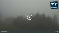 Saalfelden - Sommerrodelbahn