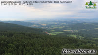 Maibrunn - Waldwipfelweg - Bosque de Baviera