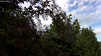 Kirchhain - Kleinseelheim