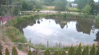 Rąbień - Staw