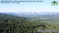 Maibrunn - Waldwipfelweg - Bosque de Baviera