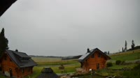 Oberharz am Brocken - Tanne