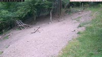 Veszprém - Bird feeders