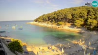Mali Lošinj - Sunčana uvala beach