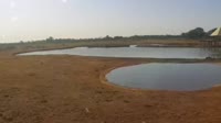 Voi - Parco nazionale dello Tsavo