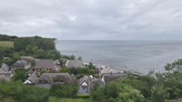 Vitt - Cape Arkona