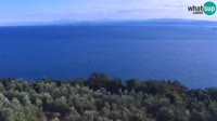 Izola - Panoramic view