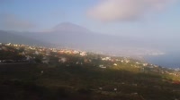 Tenerife - El Sauzal
