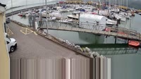 Fenit - Marina