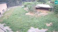 Ljubljana - ZOO