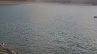 Gran Canaria - Pasito Blanco - Spiaggia