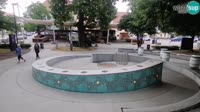 Žalec - Beer fountain