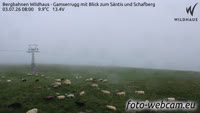 Wildhaus - Gamserrugg