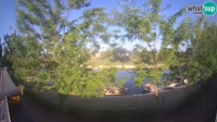 Sisak - Kupa