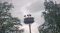 Grabenstätt - Winkl - Storks