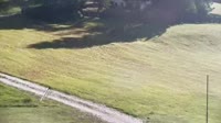 Corvara in Badia - Colfosco - Sellaronda