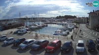 Novigrad - Porporela Marina