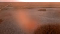 Doñana National Park - Caño de Rosalimán