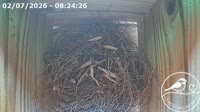 Roncourt - Birdhouse