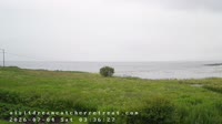 Laukvik