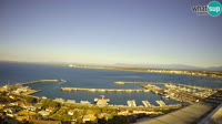 Roses - Port