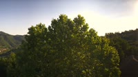 Bosia - Panorama