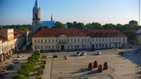 Rynek