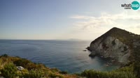 Ponza - Cala Cecata