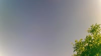 Zerbst/Anhalt - Dorfstätte
