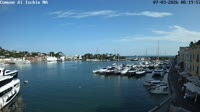 Ischia - Harbour